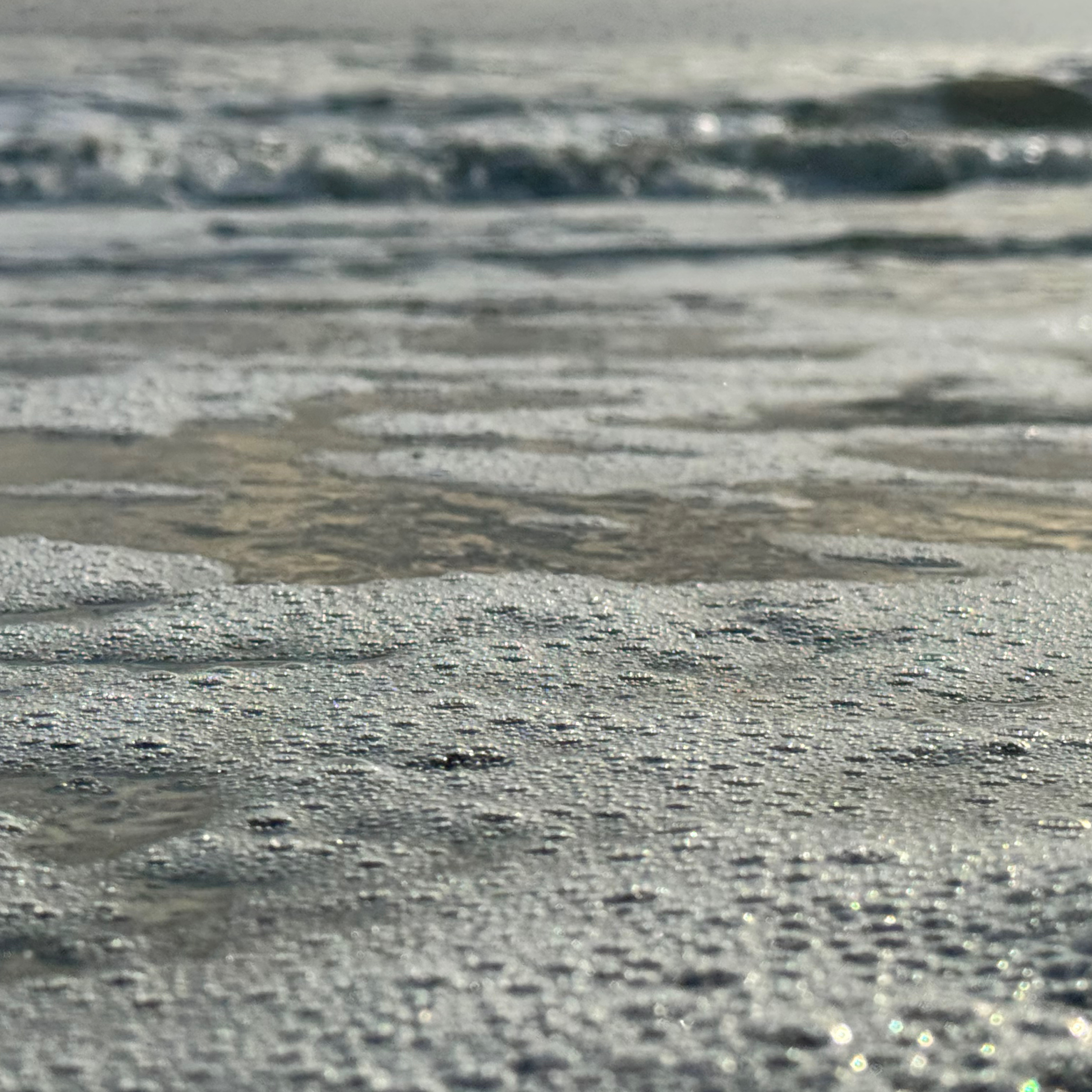 Driftwood Beach, Jekyll Island, Jan 21, 2026